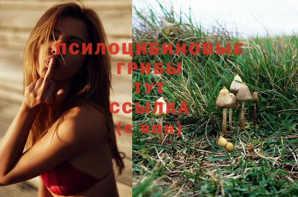 кристаллы Михайлов