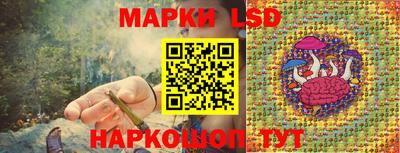 эйфоретик Донской