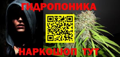 эйфоретик Донской