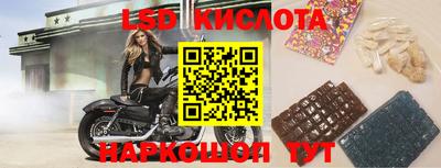 эйфоретик Донской