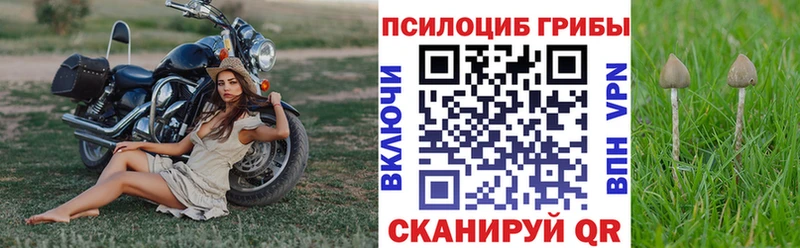Псилоцибиновые грибы GOLDEN TEACHER  Саранск 