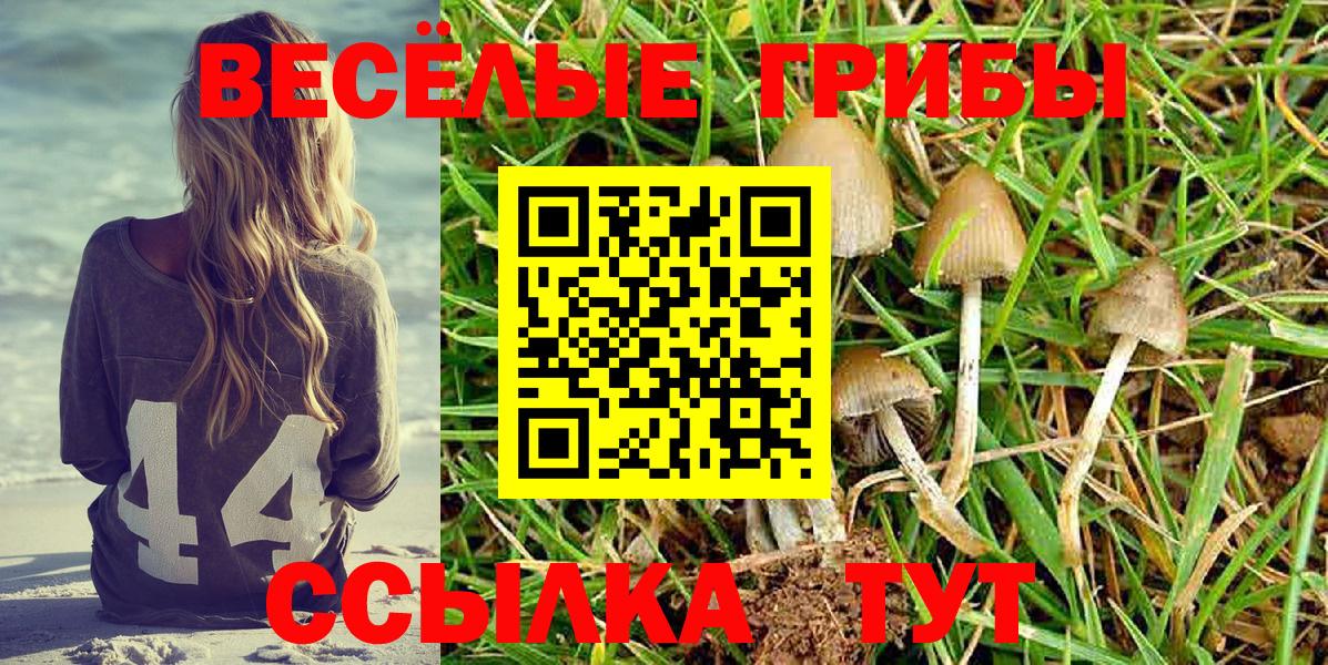 Галлюциногенные грибы MAGIC MUSHROOMS  Вход с VPN  Галлюциногенные грибы мицелий  Саранск 